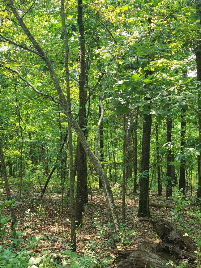 3 Chatburn Cir unit 1192138, Bella Vista, AR 72715 - photo 3