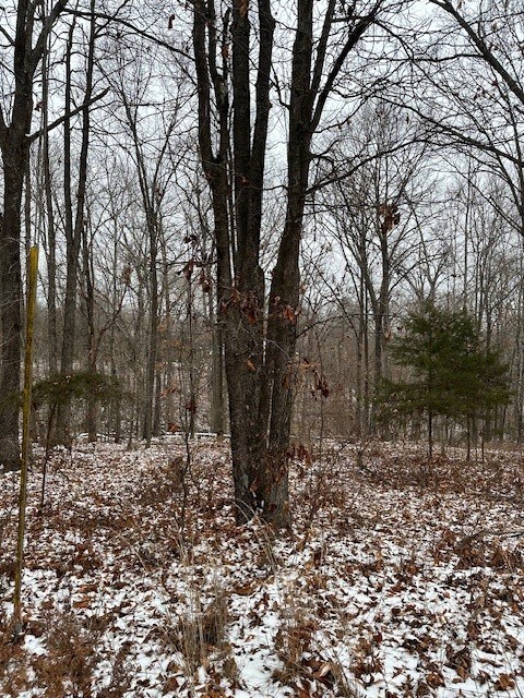 Lot 16 Saxilby Ln, Bella Vista, AR 72715 - photo 5