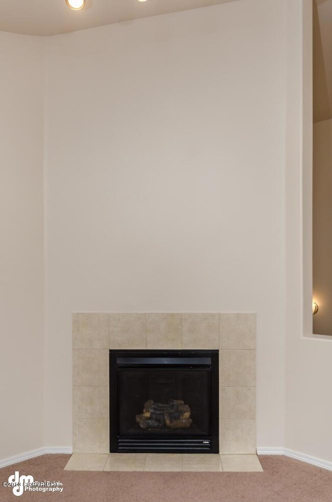 5788 Sapphire Loop 63B-large-006-Firepla