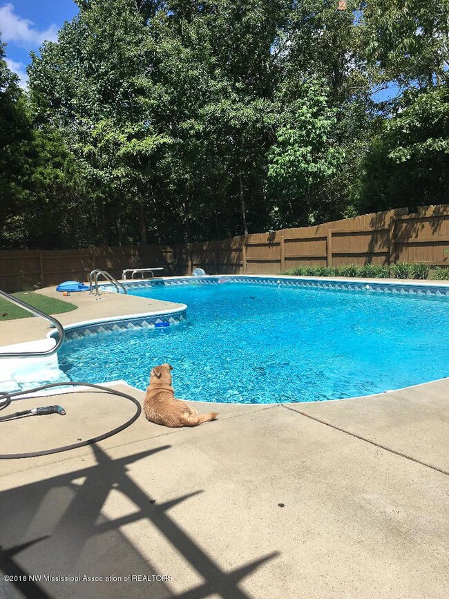 L Shaped Pool