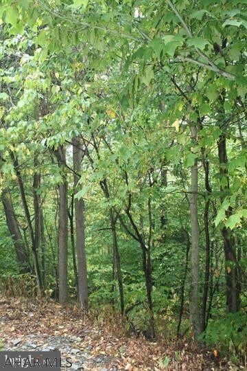 108 Indiana Ave, Bedford, PA 15522 - photo 3