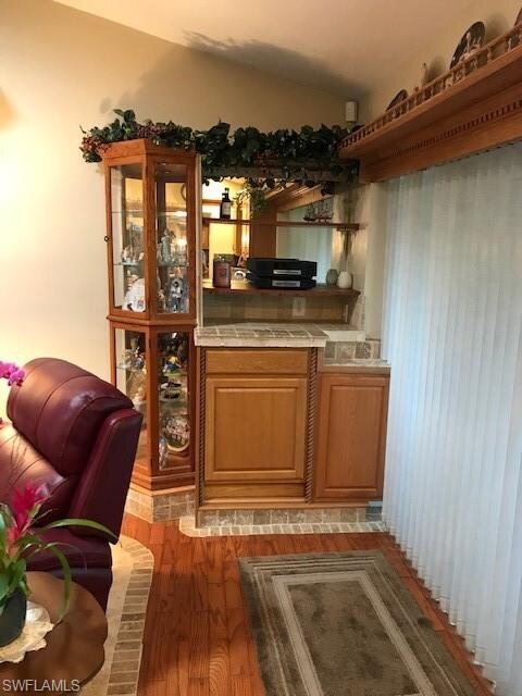 Built-In Dry Bar / Curio Cabinet