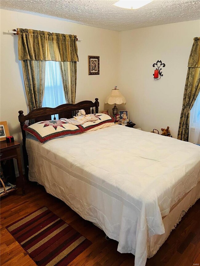 306 N Locust St, Dixon, MO 65459 - photo 5