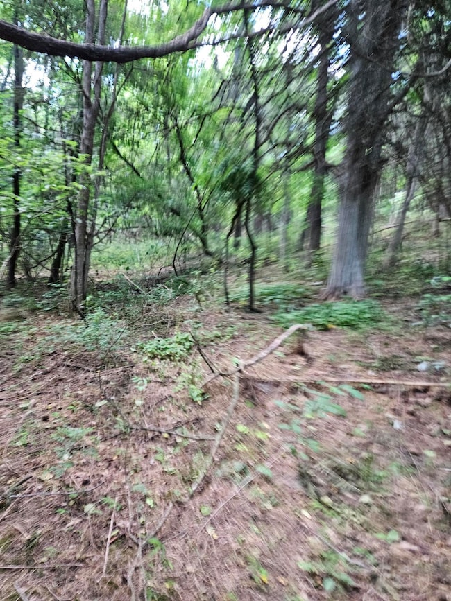 3.39 acres Mossy Creek Rd, Mount Solon, VA 22843 - photo 2