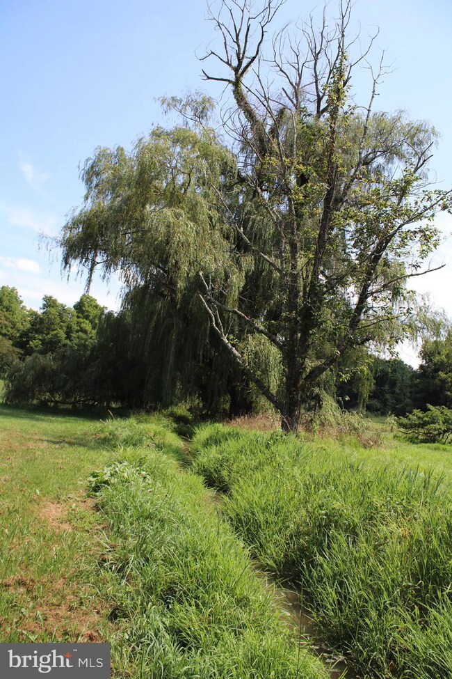 0 Goldmiller unit WVBE169734, Bunker Hill, WV 25413 - photo 3