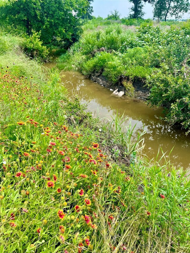 View of nature with a nearby body of water