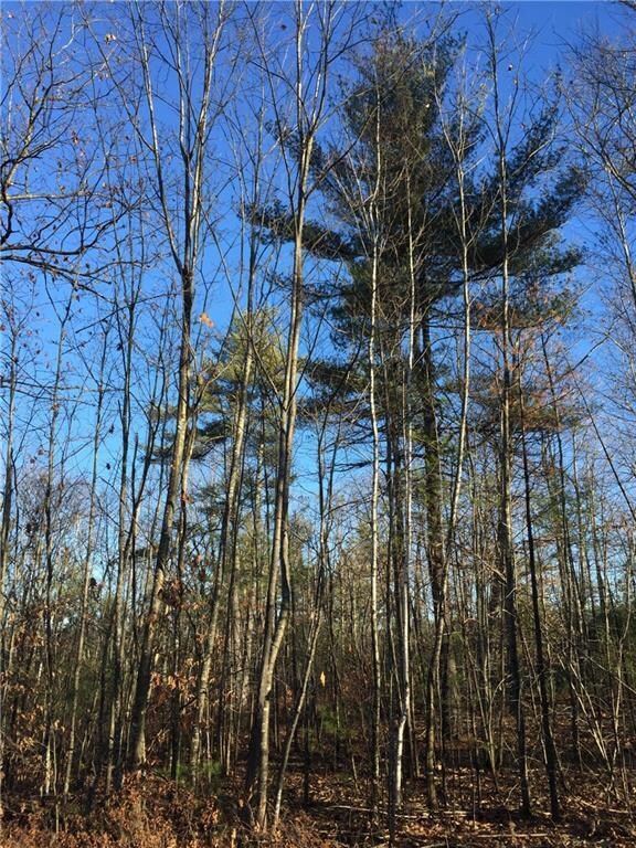 0 Mountain Rd unit 1246727, Newfield, ME 04056 - photo 3