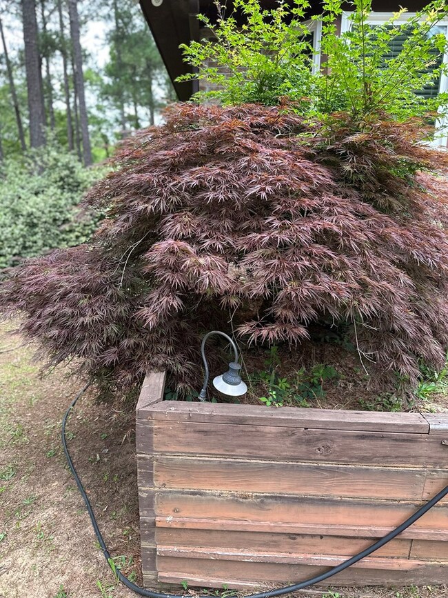 12200 County Line Rd, Midland, GA 31820 - photo 5