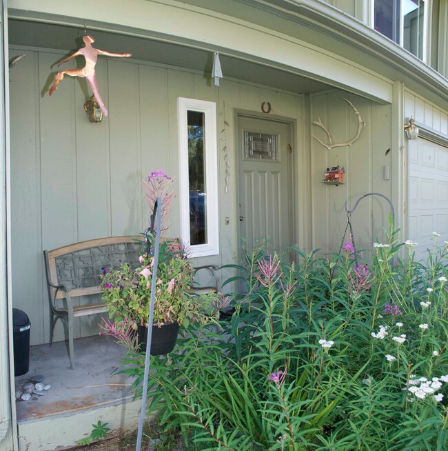 porch with moose eaten fireweed