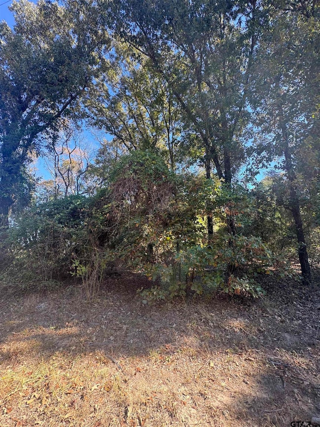 TBD County Road 3245, Quitman, TX 75783 - photo 6