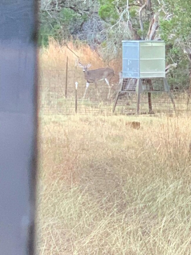 Abundant Wildlife