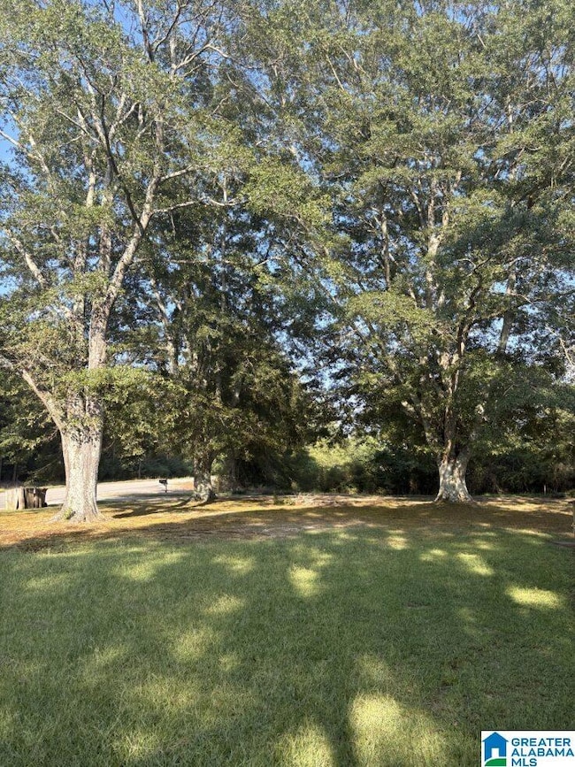 4025 County Road 172, Phil Campbell, AL 35581 - photo 3