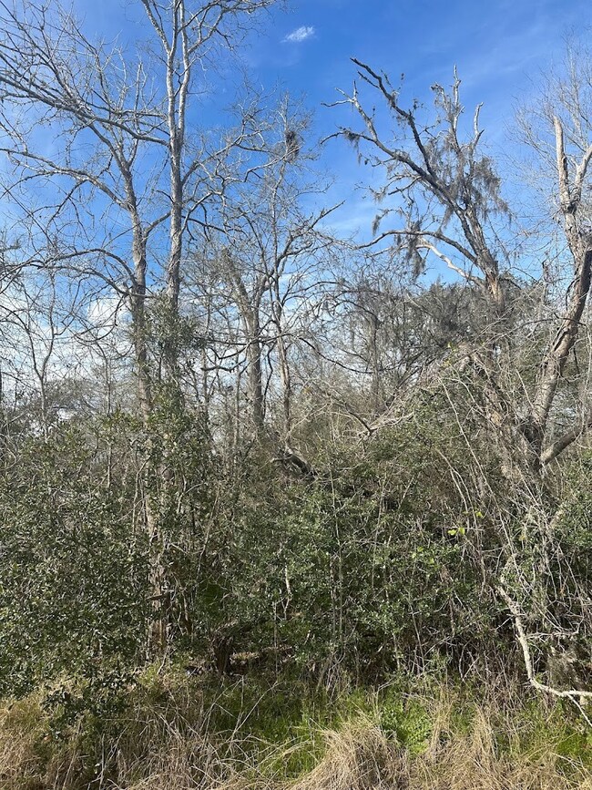 0 County Road 510u, Brazoria, TX 77422 - photo 6