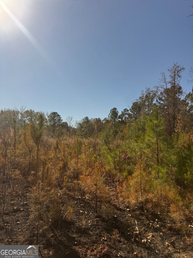 4527 Georgia 18, West Point, GA 31833 - photo 2