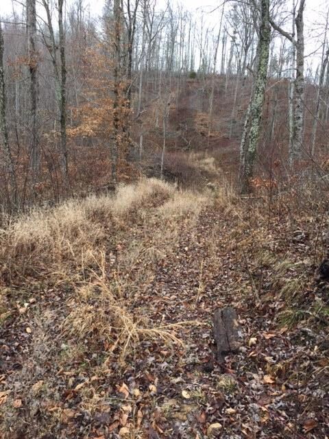 13001 Highway 192, Somerset, KY 42501 - photo 6