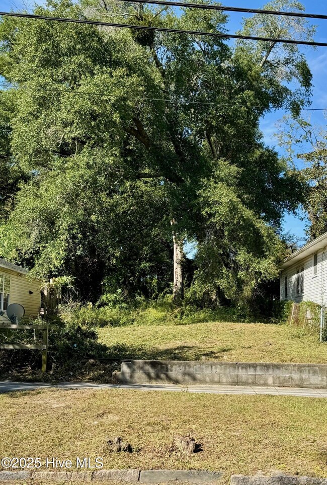 816 S 7th St, Wilmington, NC 28401 - photo 6