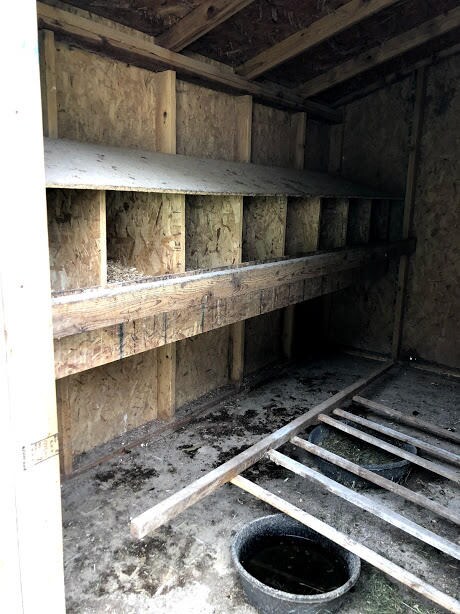 inside chicken coop