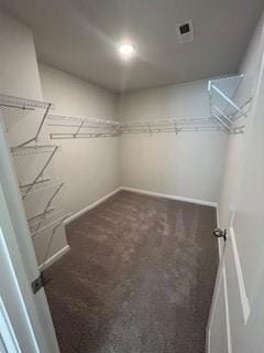Walk in closet featuring visible vents and carpet 