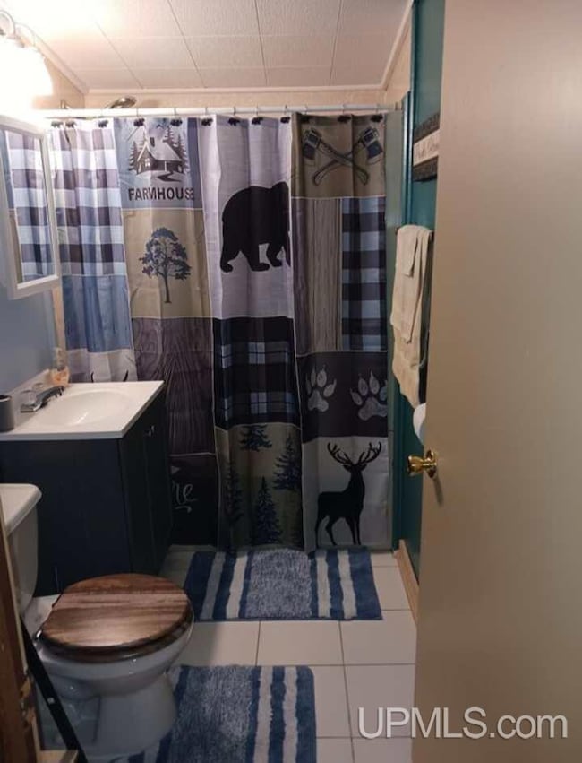 40 Oak St, White Pine, MI 49971 - photo 7