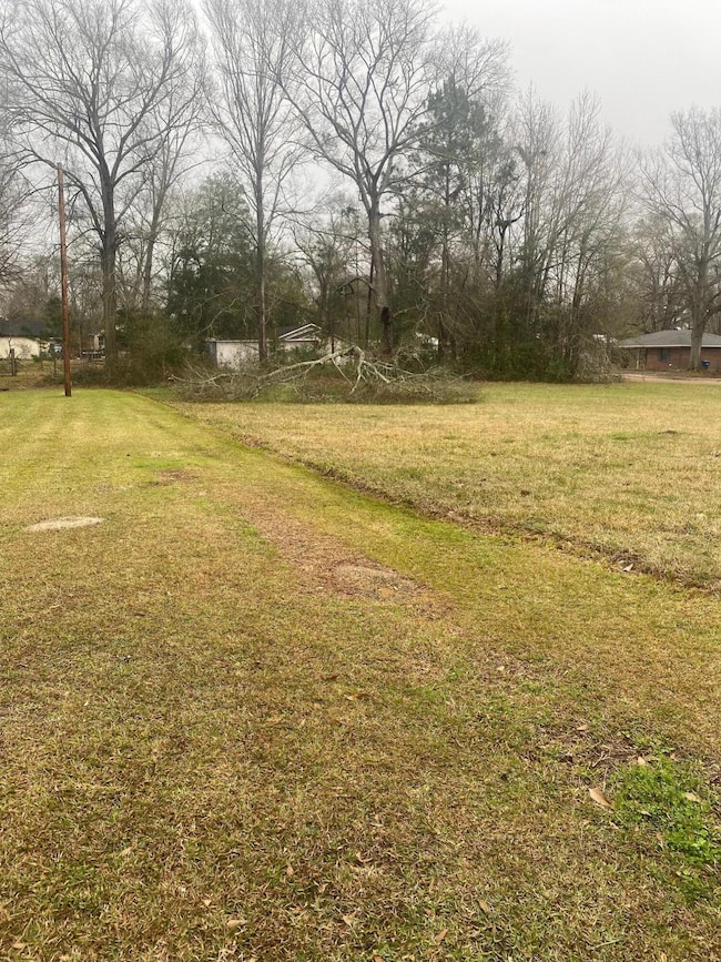 0 N Frusha Dr, Deridder, LA 70634 - photo 3