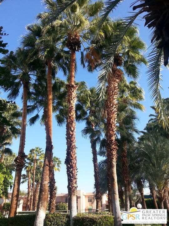 401 S El Cielo Rd unit 240, Palm Springs, CA 92262 - photo 2