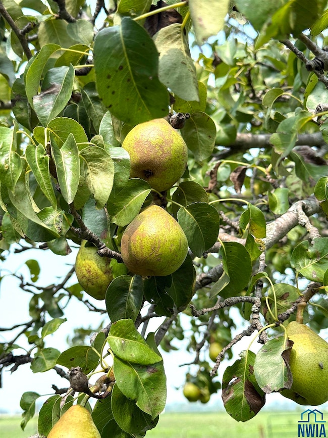 22954 Park Loop, Onawa, IA 51040 - photo 5