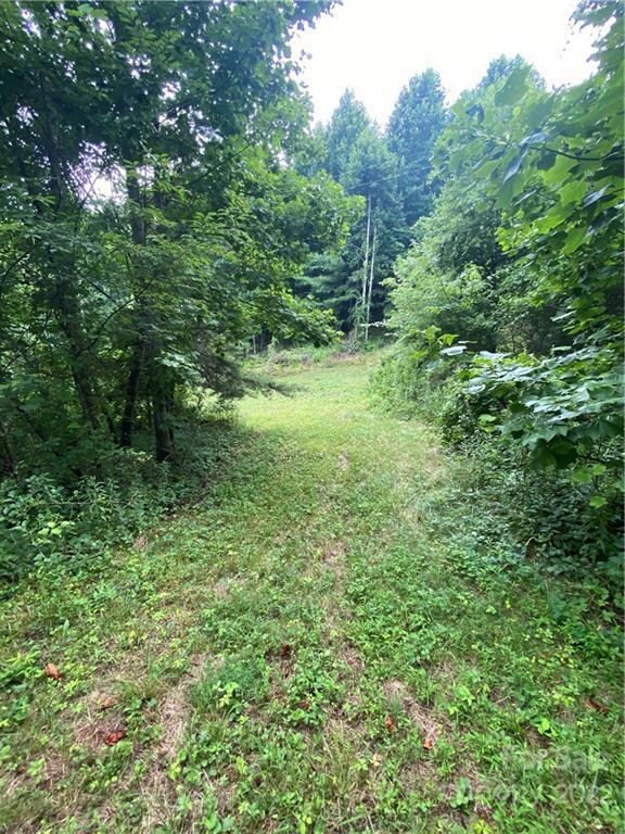 99999 Watsell Dr, Leicester, NC 28748 - photo 5