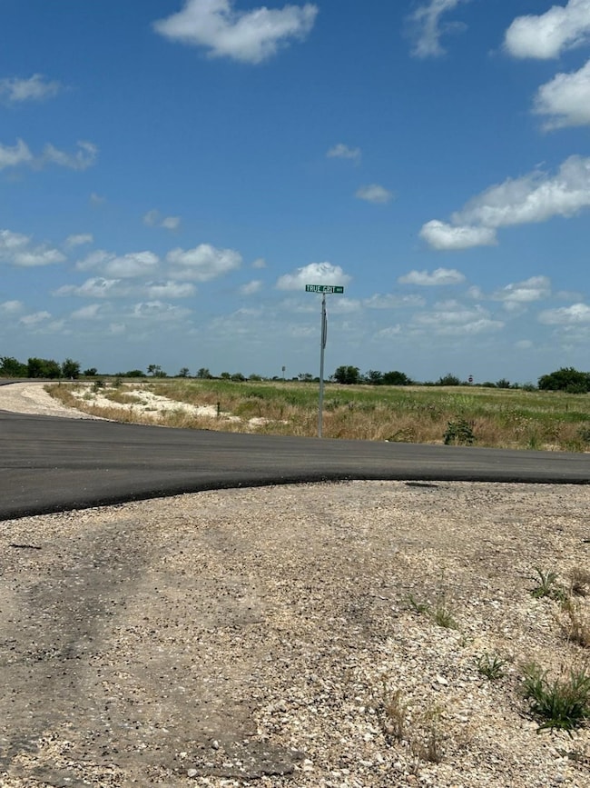 2517 Tom Chaney Dr unit 103, Cresson, TX 76035 - photo 4