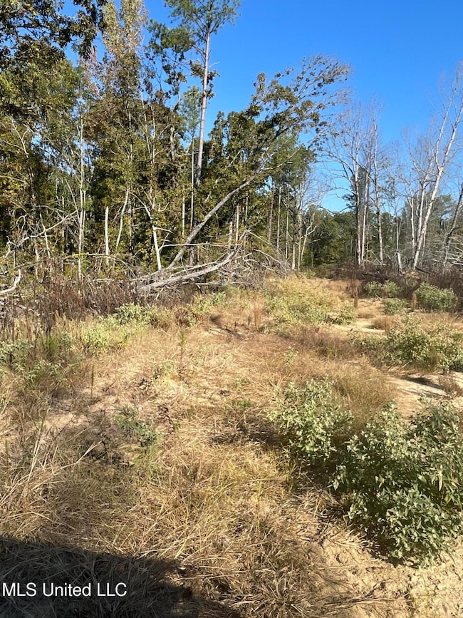 Replanted property 167 Carroll 2