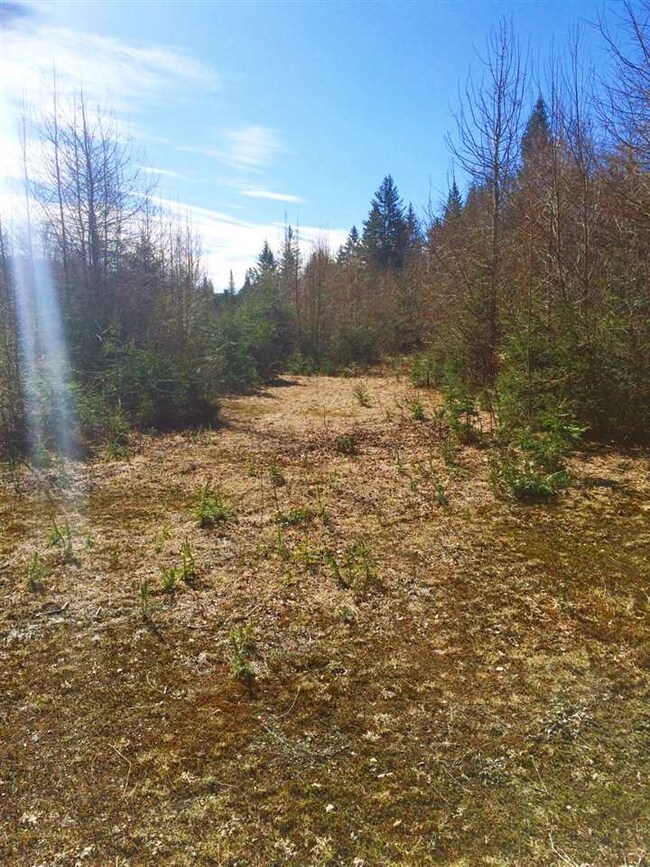 3803 U S 5, Sutton, VT 05867 - photo 6