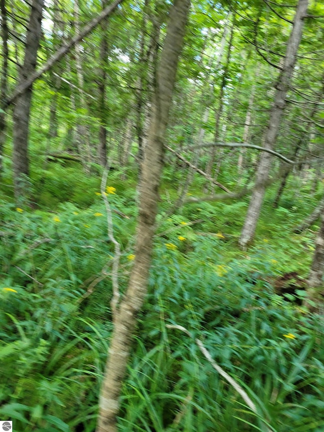 00 N Lakola Rd, Leroy, MI 49655 - photo 2