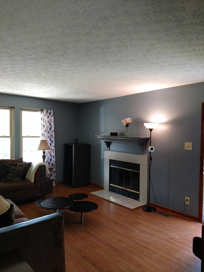 Living Room w/fplc