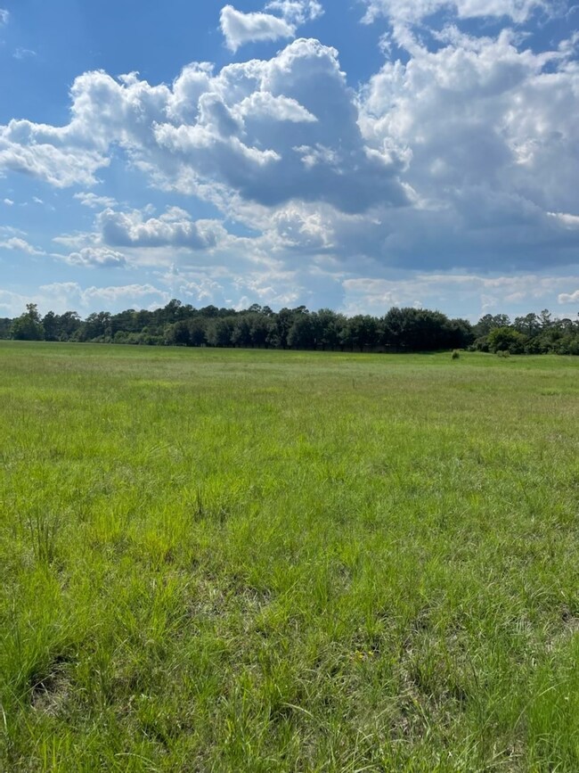 300 Meadow Lake, Magnolia, TX 77355 - photo 6