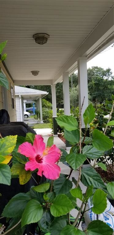 8411 Radio Ln, Tampa, FL 33619 - photo 4