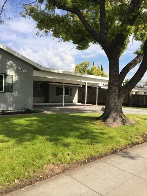 Beautiful shade tree located in front yard.