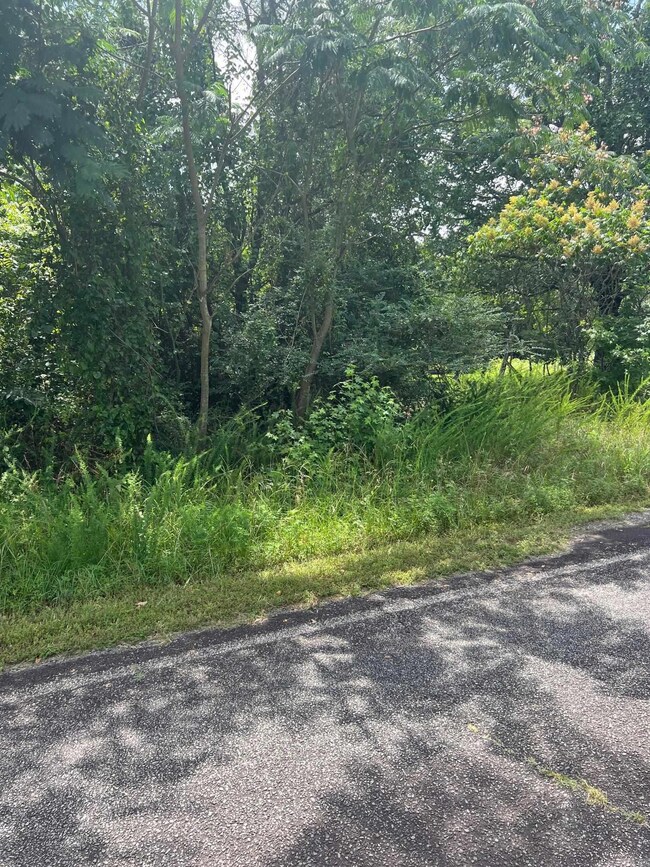 0000 Burnt Ridge Rd, Shirley, AR 72153 - photo 5