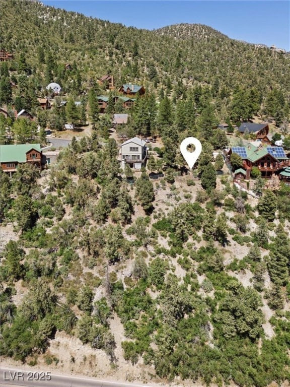 0 Crestview Drive Apn#129-25-410-108, Mount Charleston, NV 89124 - photo 3