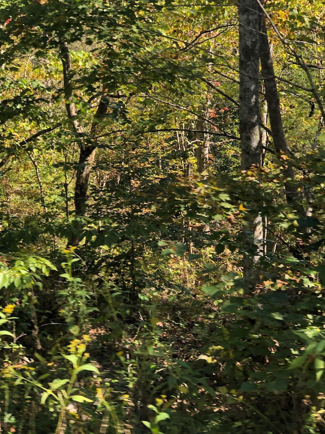 18 Buck Creek Cir, Somerset, KY 42501 - photo 3