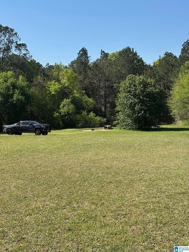 1401 Cobb Rd, Munford, AL 36268 - photo 3