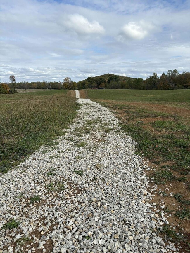 Pine Grove Ch Rd, Vanceburg, KY 41179 - photo 4