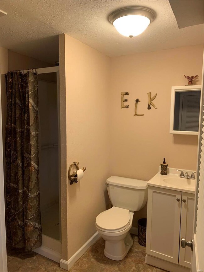 Lower Level bathroom