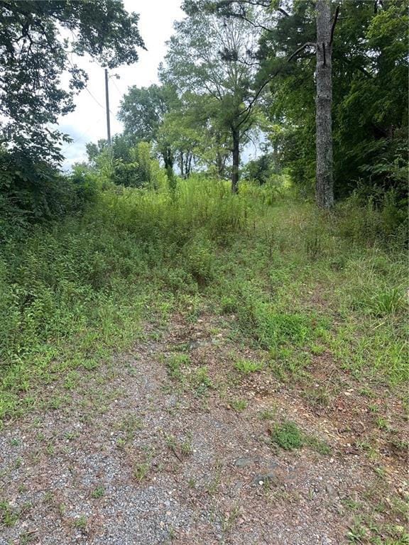 View of local wilderness