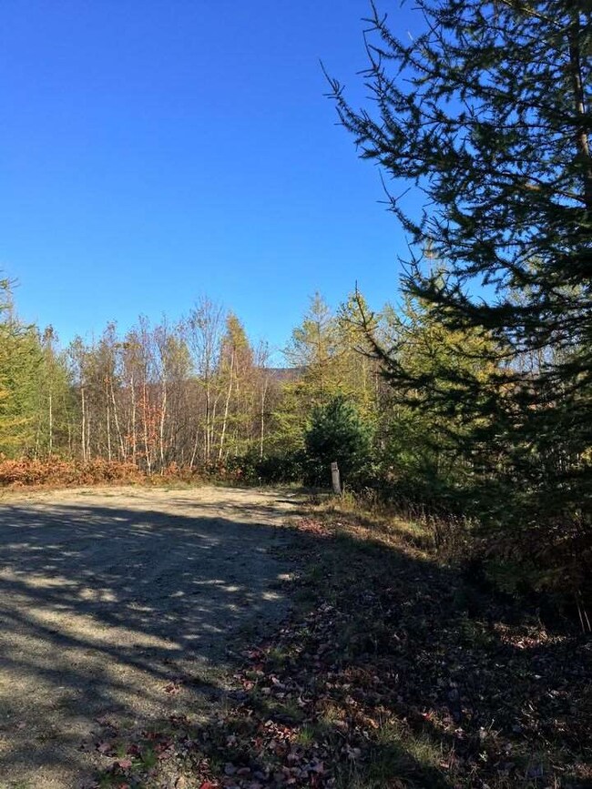 47 Crystal unit Map 1, Lot3, Jefferson, NH 03583 - photo 4