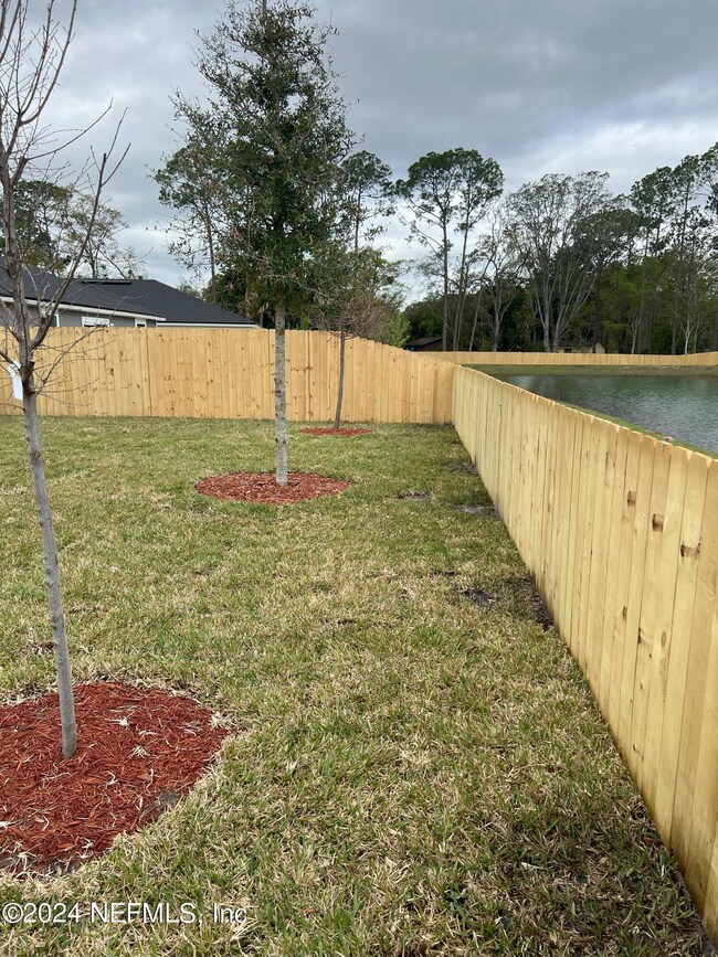 backyard pond view