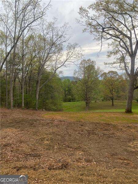 0 Hilltop Ln unit 10606063, Clarkesville, GA 30523 - photo 7