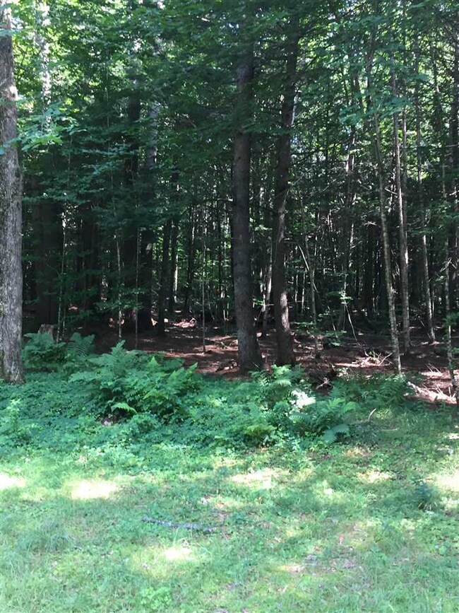 715 Tenney Mountain Hwy unit 715-B, Plymouth, NH 03264 - photo 3