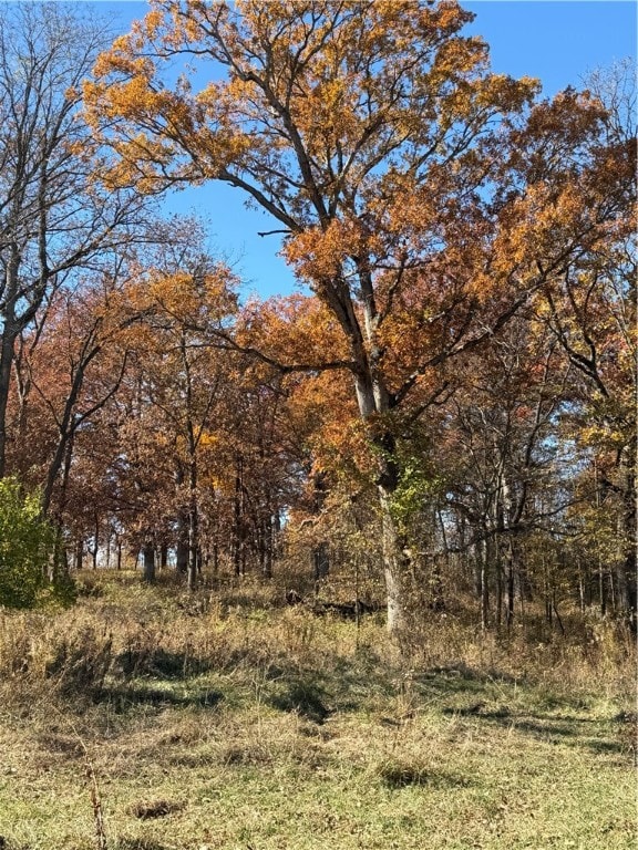 9264 Caleb Rd, Argenta, IL 62501 - photo 7