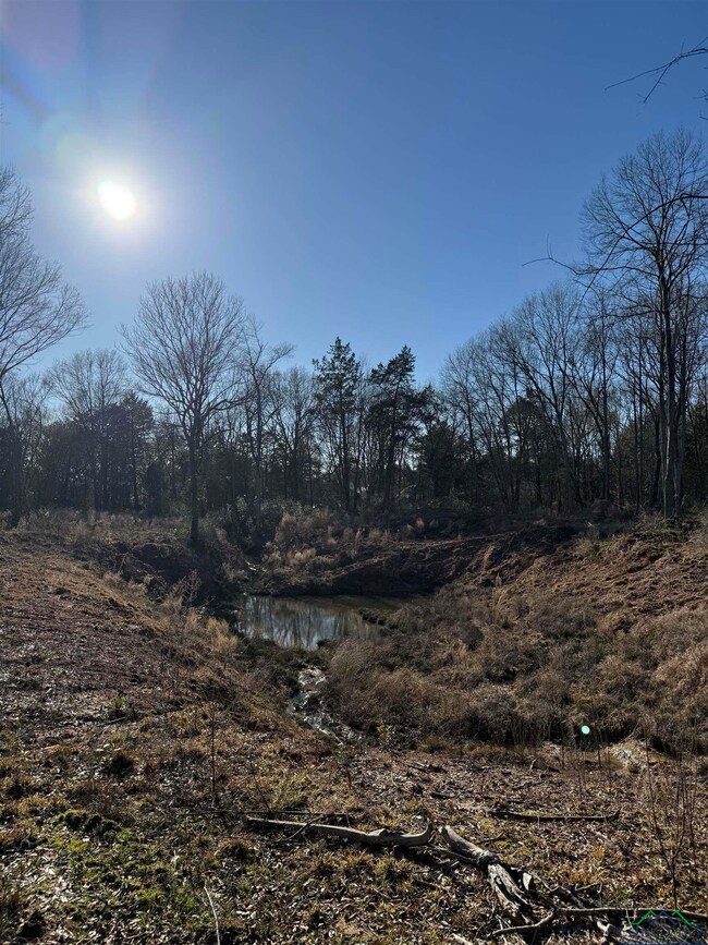 View of local wilderness with a water view