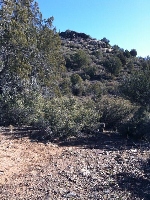 Lot 245 Badger Ridge Rd unit 245, Kingman, AZ 86401 - photo 3