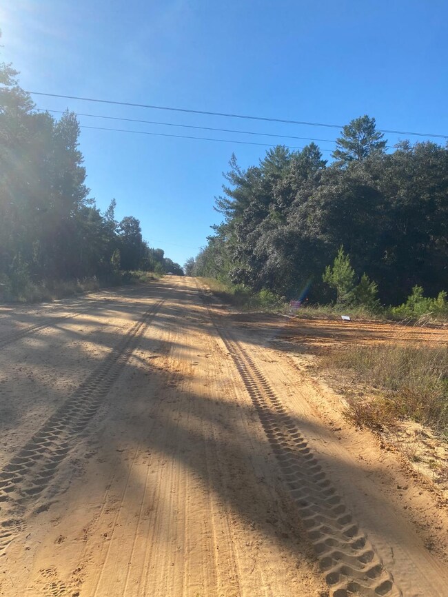 0 Schaffer St unit 25703472, Interlachen, FL 32148 - photo 6